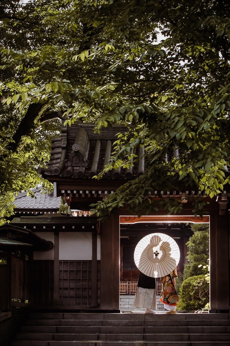 シルエットシーン♪