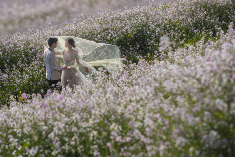 多摩川です!春だけこんな感じになります!