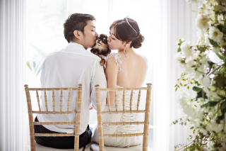 愛犬一緒に和装・洋装撮影