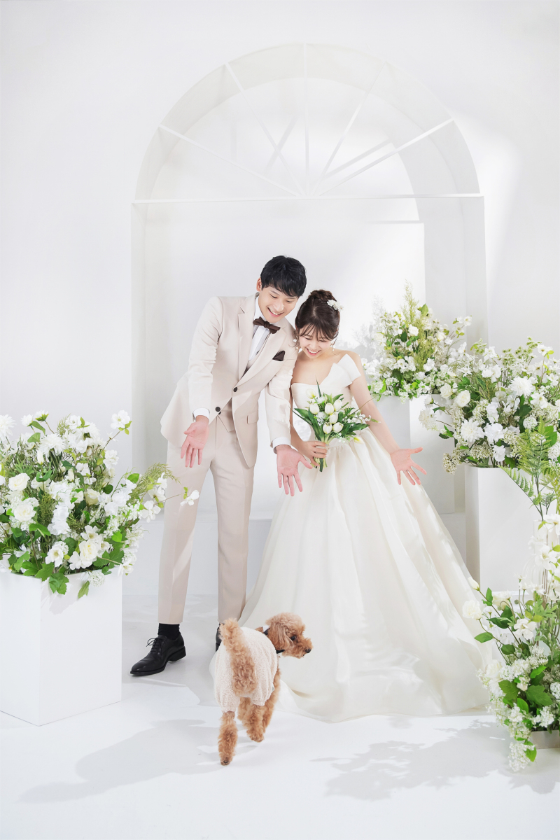 わんちゃんも一緒に