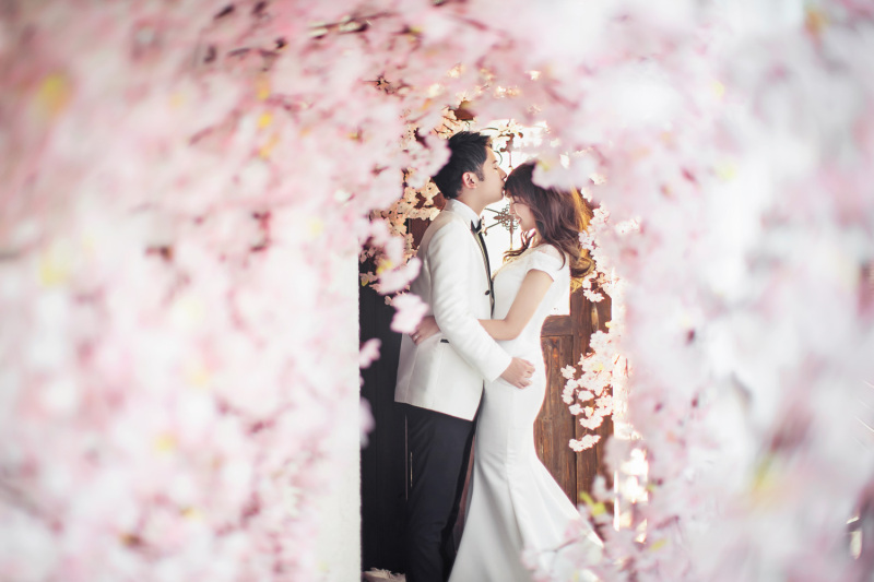 春を感じる桜のトンネル