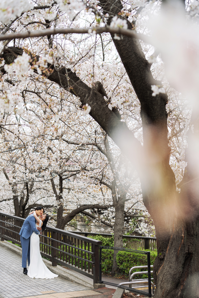桜が満開の目黒川へ
