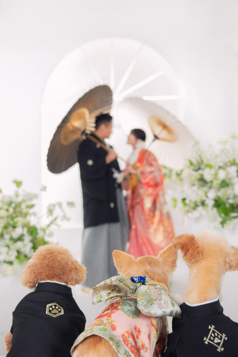 愛しのわんちゃん３匹に見守られて