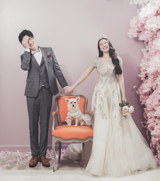 ピンクの背景でキュートに！