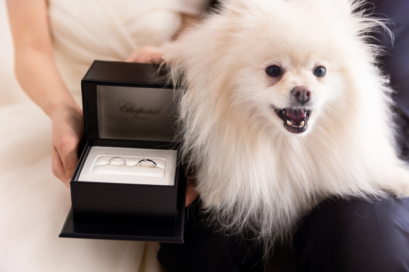 お持ち込みアイテム