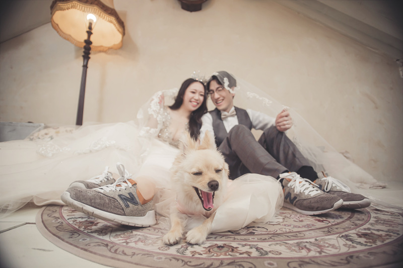 ドレス2着・ペットと一緒