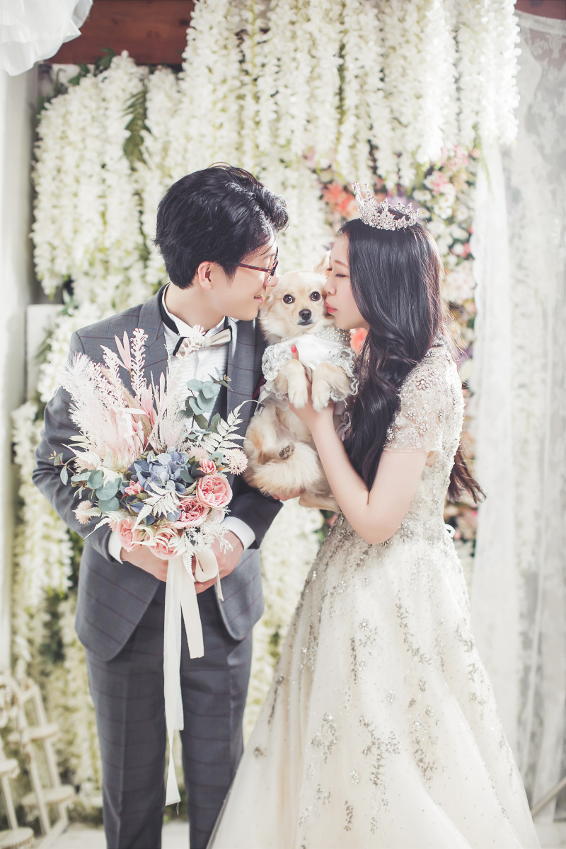 お花とわんちゃん♪