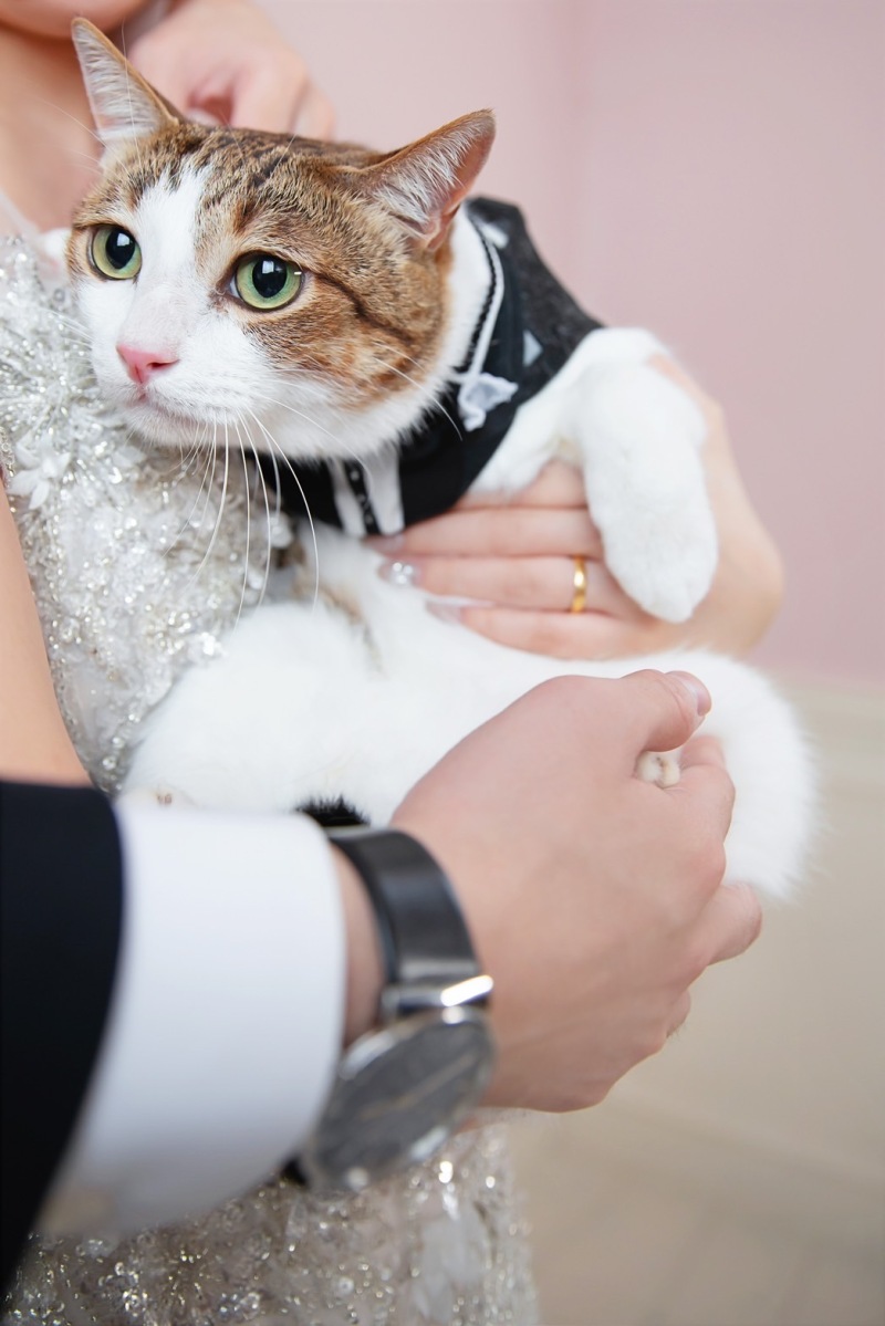 ペットと一緒に♡