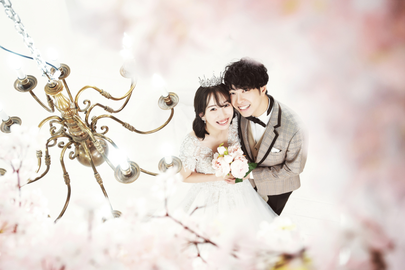 桜シーンを上から撮影♡