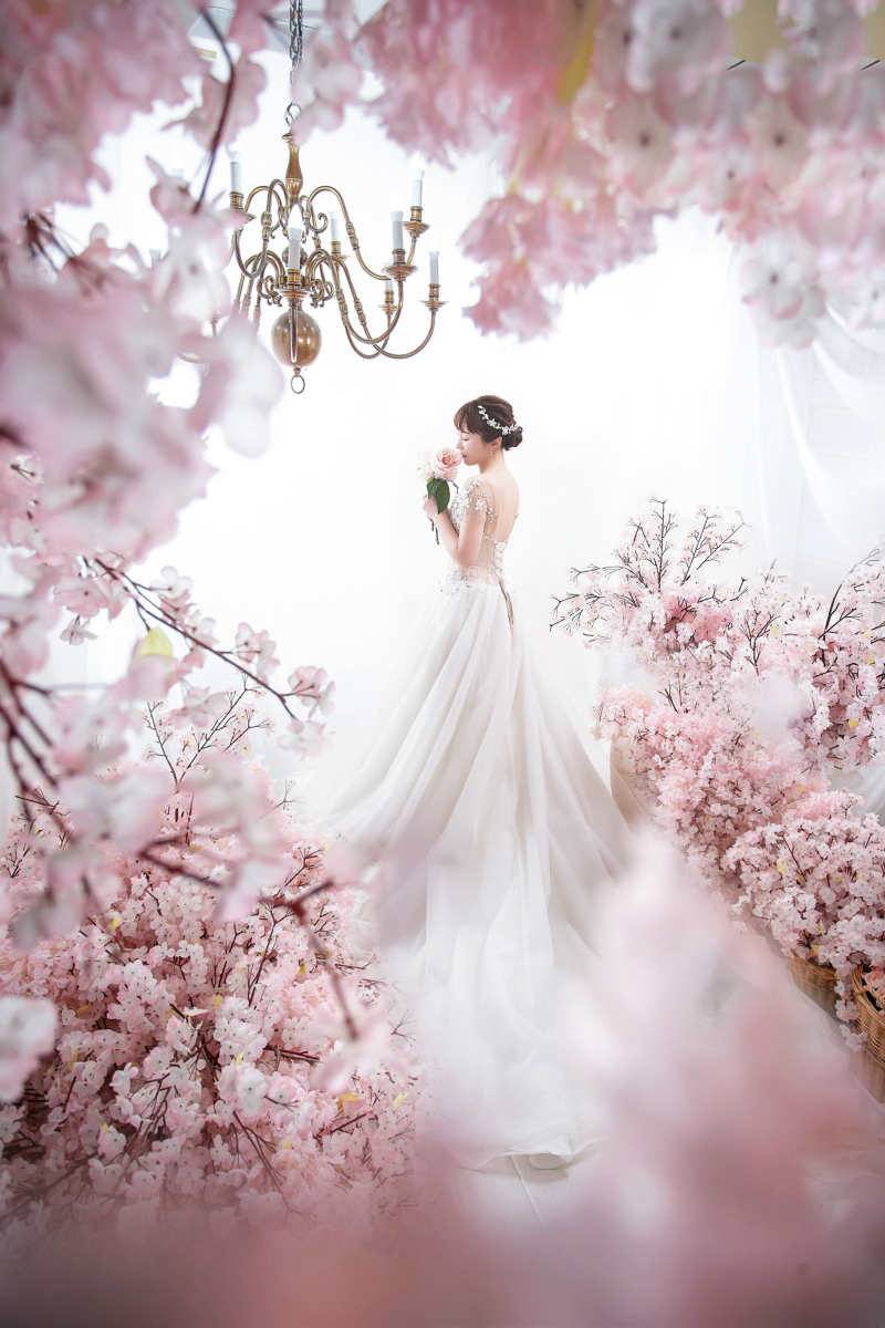 桜に囲まれて♬