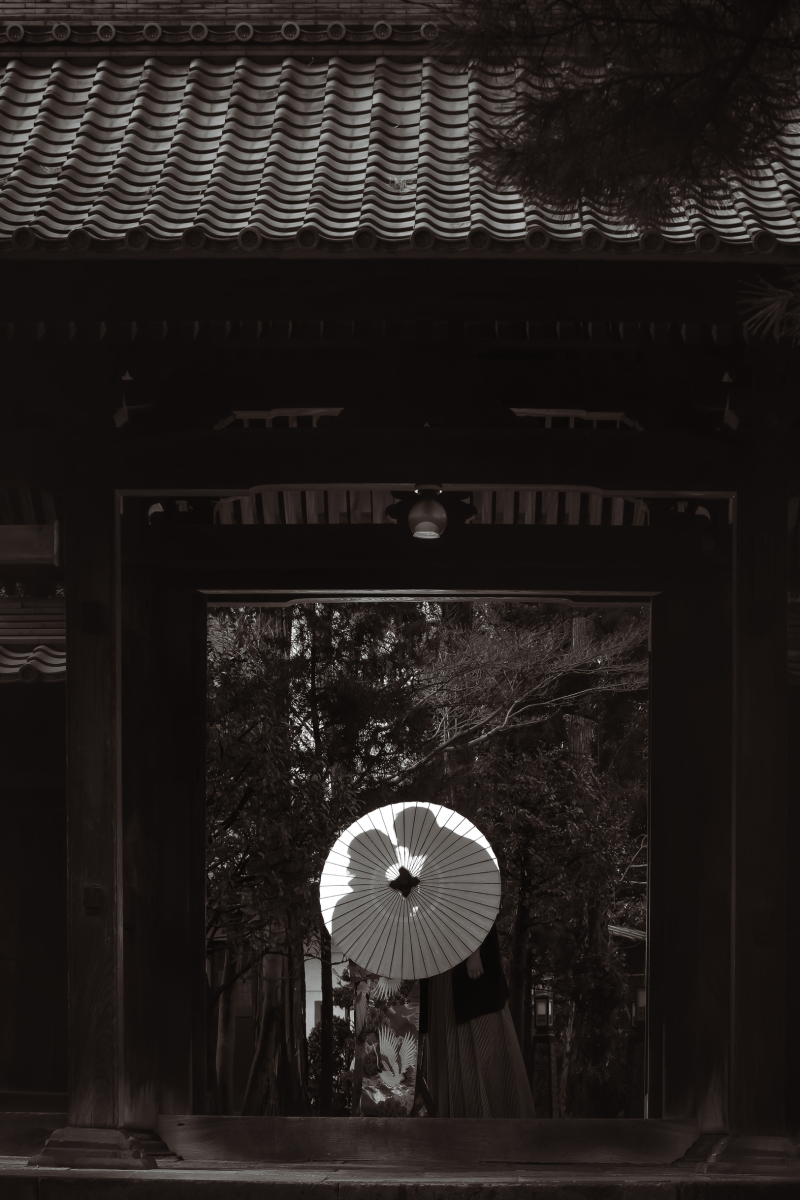 立派な門構えで