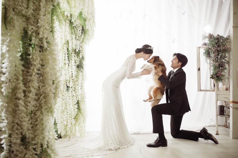 わんちゃんと一緒にドレス撮影