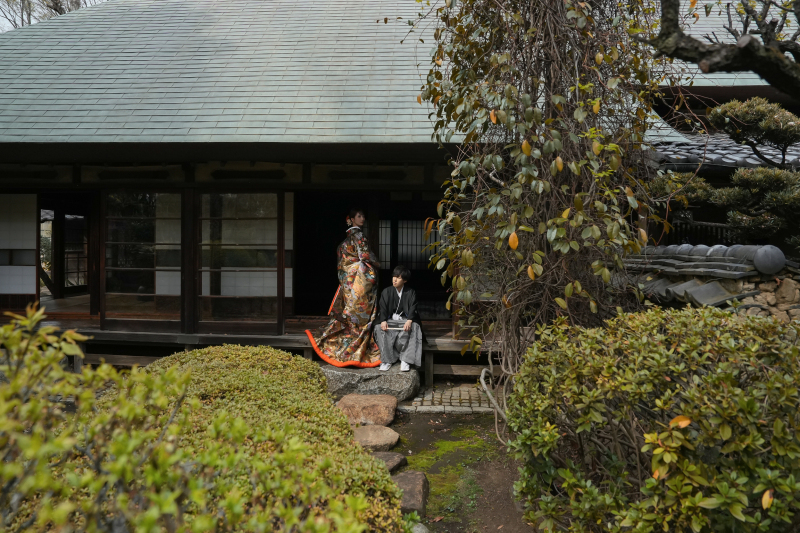 遠くからワンショット