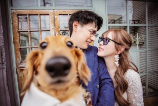 ペットと一緒に撮影