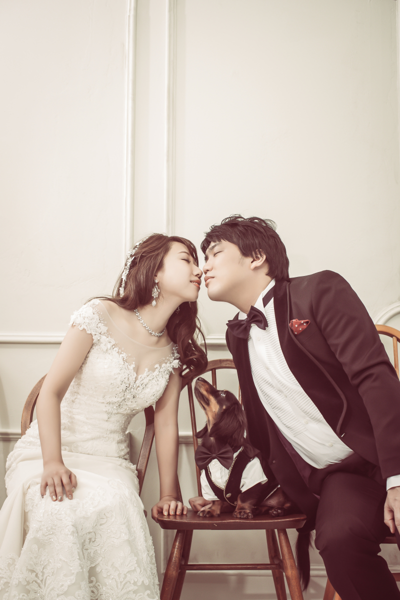 ワンちゃん撮影