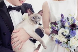 ドレス2着・カジュアル１着