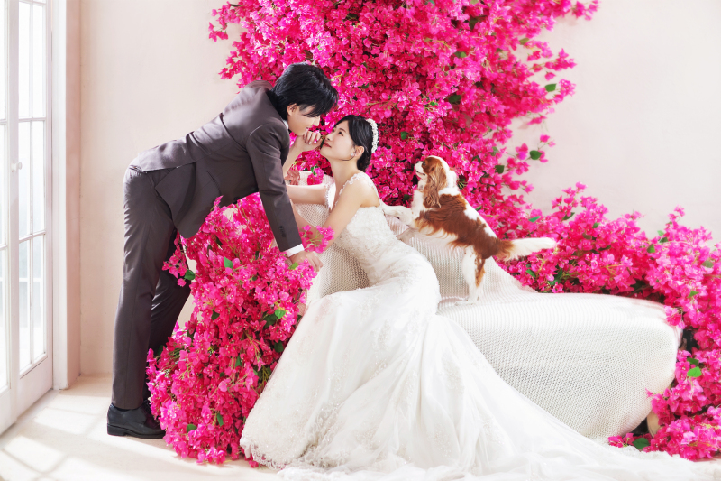 ピンクのお花とソファシーン