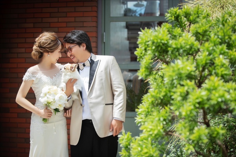 ドレス・カジュアル・ペット撮影