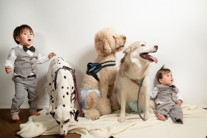 ワンちゃんとお子さんで★