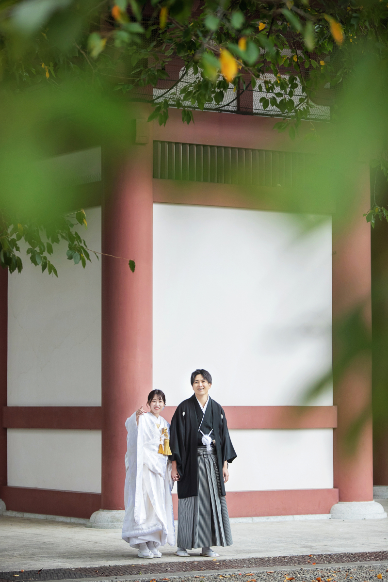 遠くからとったショット