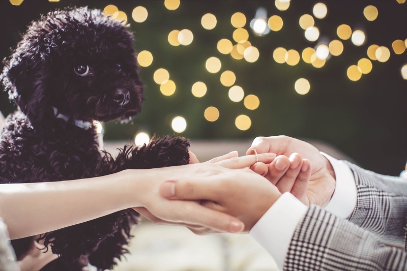 ぼくも一緒に指輪シーン！