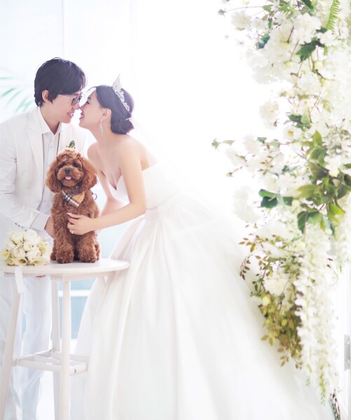 studio FTS_ペットと一緒に撮影できる