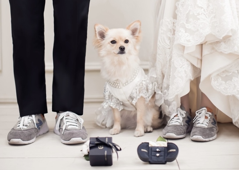 お揃いの靴！大切なワンちゃん！思い出の指輪！