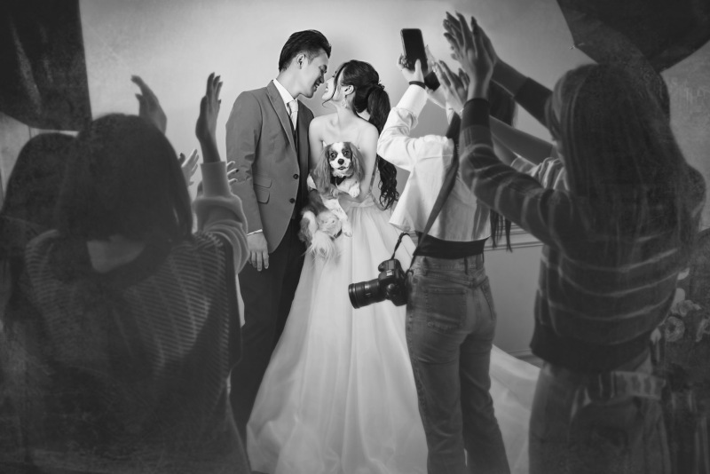 studio FTS_ペットと一緒に撮影できる