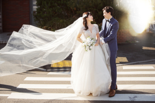 横断歩道撮影料