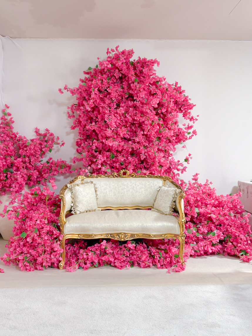 Point1 多彩な撮影シーン