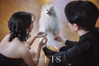 studio FTS_ペット・カジュアル
