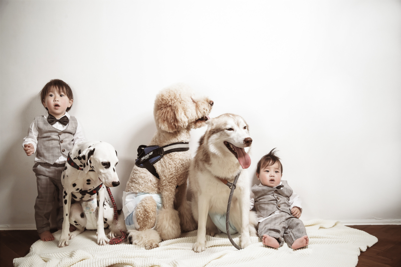 studio FTS_家族・友人を撮影に呼べる