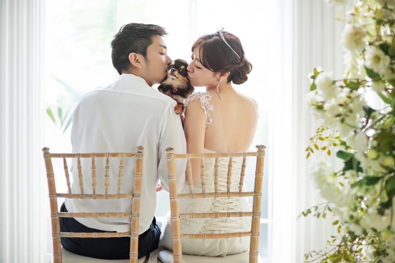 studio FTS_ペットと一緒に撮影できる