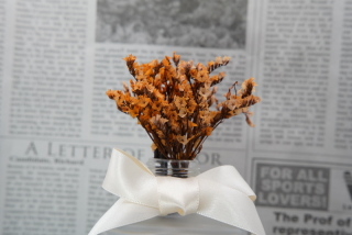 ドライフラワー髪飾り