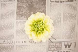 造花髪飾り(無料)