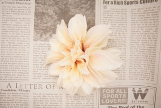 造花髪飾り(無料)