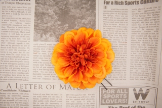 造花髪飾り(無料)