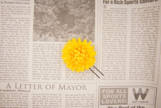 造花髪飾り(無料)