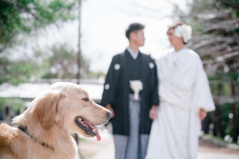 こんな可愛らしいショットも!