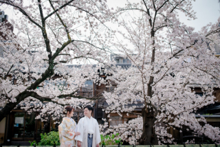 春の京都2ヶ所ロケーション撮影
