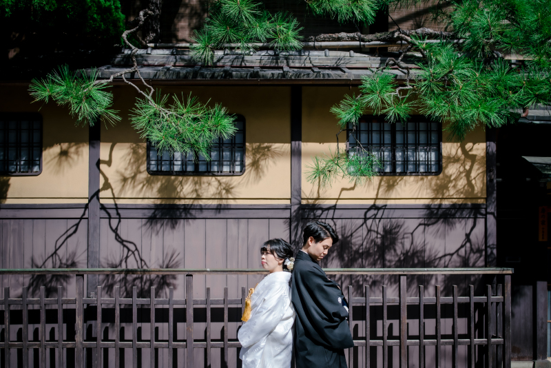 奥ゆかしい松の木と...