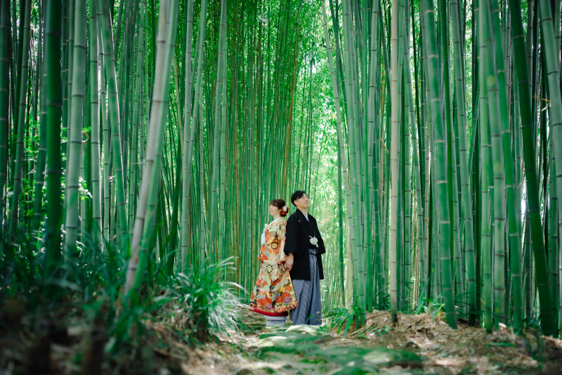 竹林＆和室ロケーション撮影