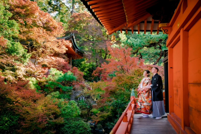 美しい景色と