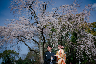 和装2着・神社仏閣と桜ロケーション