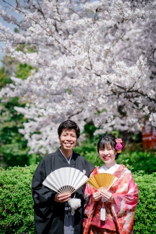桜満開ロケーション！