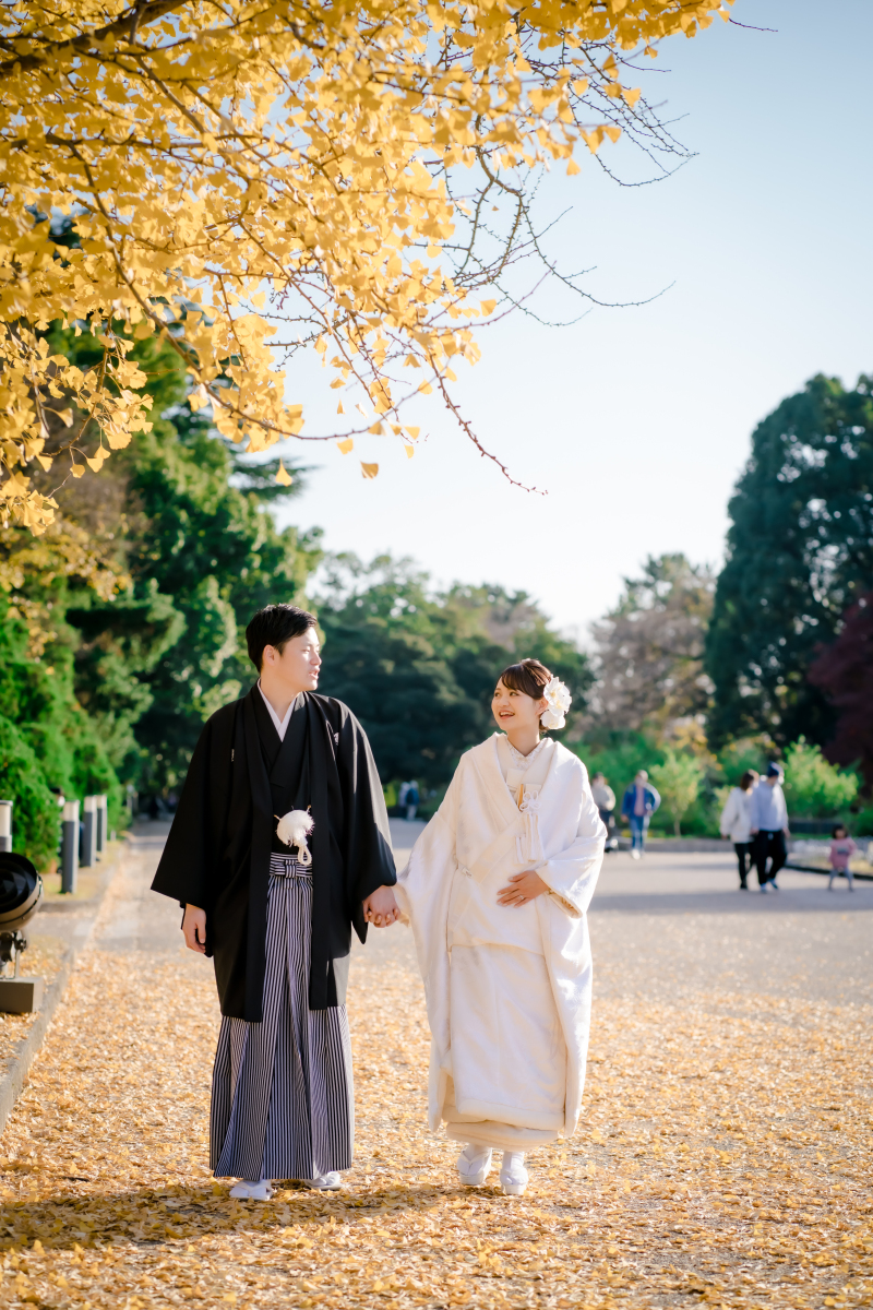 黄色に色づくイチョウ！