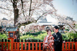 4月の京都　神社仏閣と桜