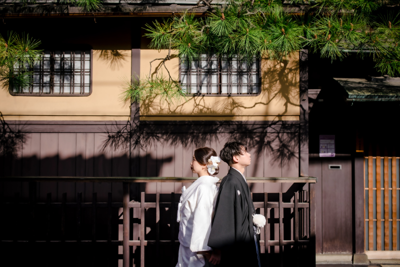 松の木の下で...