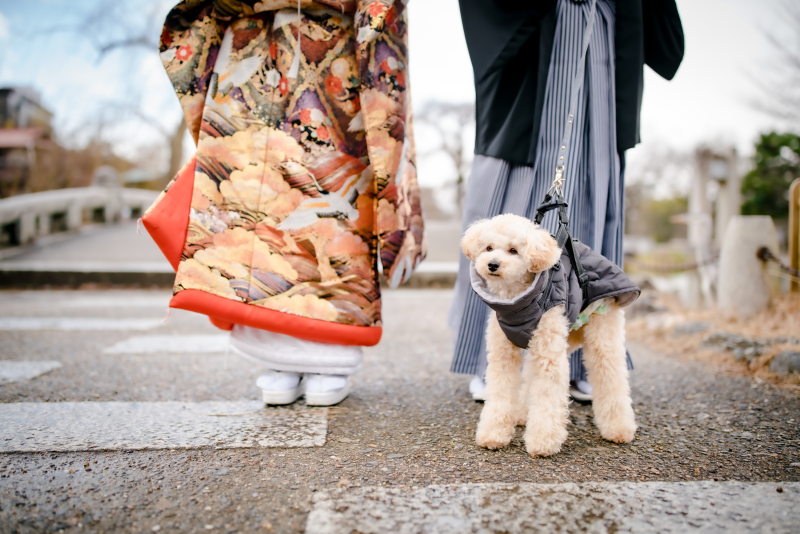 いざ円山公園へ！