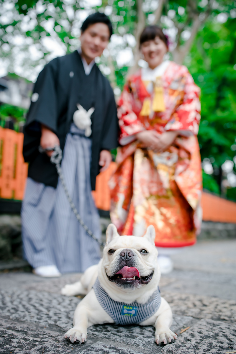 僕も一緒に写りたい！！